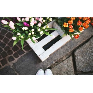 Spring mood
